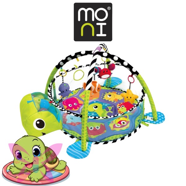 Centro Attività Cangaroo Sea Turtle