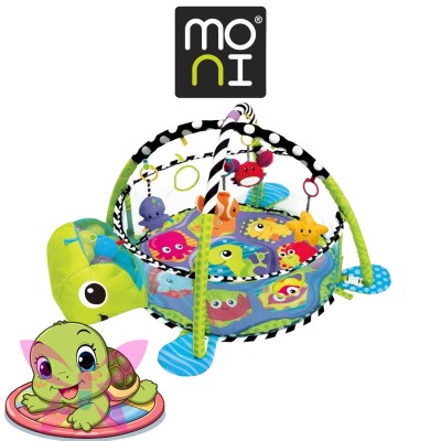 Centro Attività Cangaroo Sea Turtle