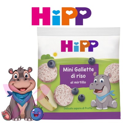 HiPP Bio Mini Gallette di Riso al Mirtillo 30 g